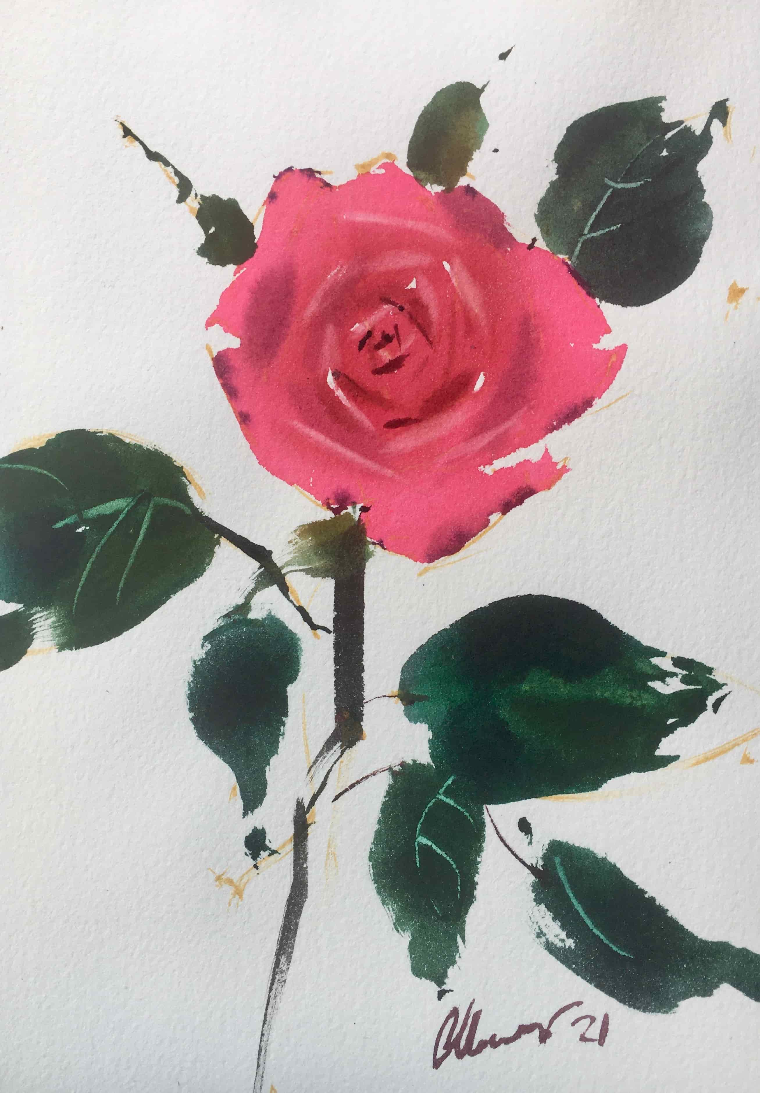 Роза акварелью поэтапно: как нарисовать розу акварелью